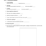 Frog Dissection Answer Sheet For Frog Dissection Lab Worksheet Answer Key