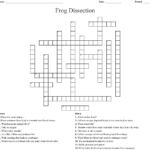 Frog Dissection Crossword  Wordmint As Well As Frog Dissection Worksheet Answers