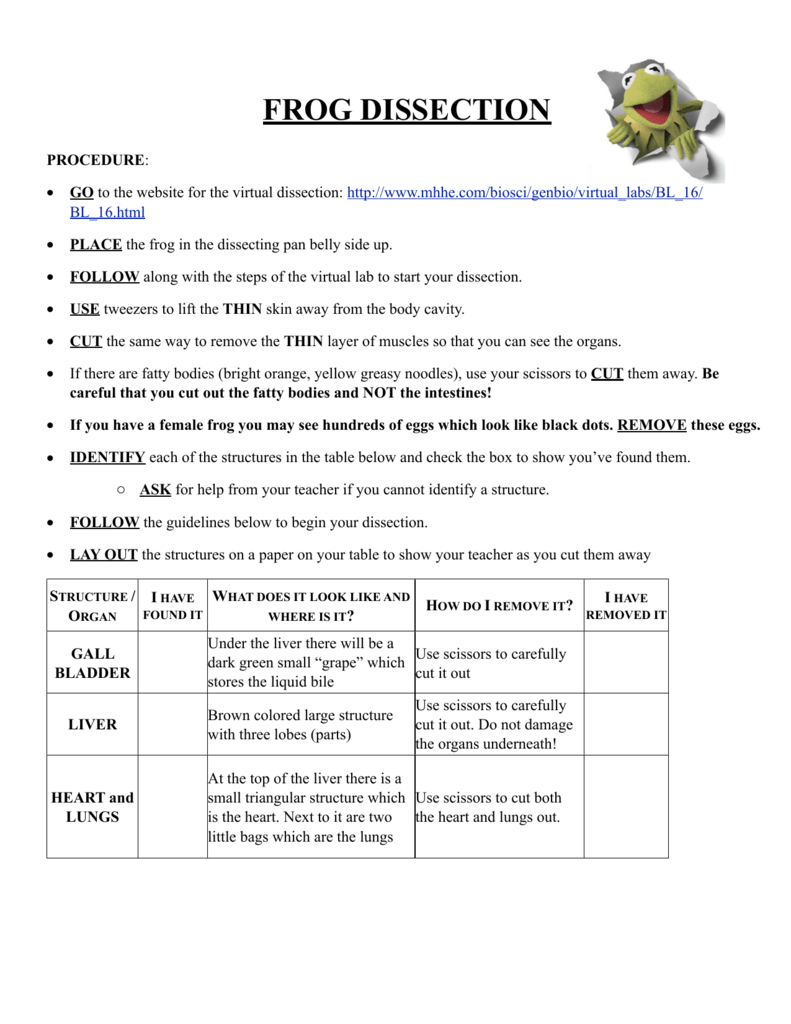 Frog Dissection Lab Sheet With Regard To Frog Dissection Worksheet