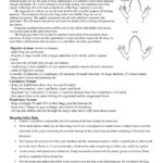 Frog Dissection Prelab  Fbisd Campuses Pages 1  6  Text Version With Regard To Frog Dissection Worksheet Answers