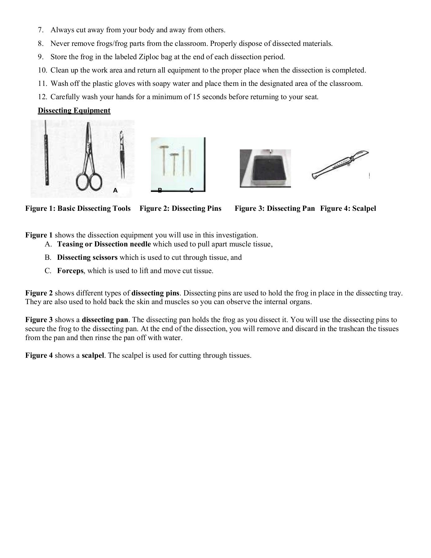 Frog Dissection Prelab  Fbisd Campuses Within Frog Dissection Pre Lab Worksheet Answer Key