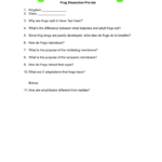 Frog Dissection Prelab Throughout Frog Dissection Pre Lab Worksheet Answer Key