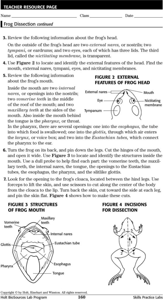 Frog Dissection Procedure Pdf Also Frog Dissection Worksheet 