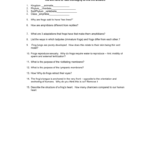 Frog Dissection Worksheet And Frog Dissection Pre Lab Worksheet Answer Key