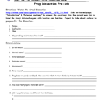 Frog Dissection Worksheet For Frog Dissection Worksheet Answers
