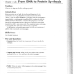 From Dna To Protein Synthesis Lab With Regard To Dna And Protein Synthesis Worksheet Answers