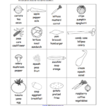 Fruits And Vegetables Spelling Worksheets  Enchantedlearning For Spelling Worksheets For Grade 1