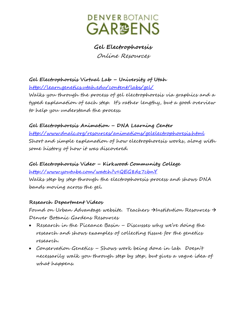Gel Electrophoresis Online Resources For Virtual Gel Electrophoresis Lab Worksheet