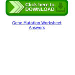 Gene Mutation Worksheet Answersgarliligov  Issuu Inside Gene And Chromosome Mutation Worksheet Answer Key