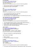 Gene Tech Internet Assignment Also Virtual Lab Dna And Genes Worksheet