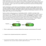 Gene Transformation Pogil Activity With Control Of Gene Expression In Prokaryotes Pogil Worksheet Answers