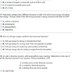 Genetics And Biotechnology Chapter 13 Worksheet Answers For Biotechnology Worksheet Answers