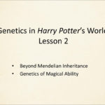 Genetics In Harry Potter's World Lesson 2  Ppt Download Or Harry Potter Genetics Worksheet