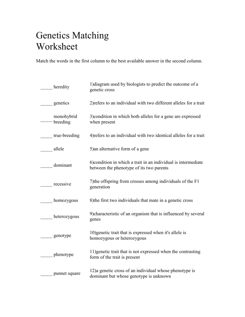 Genetics Matching Worksheet In Genetics Worksheet Answers