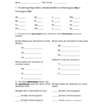 Genetics Practice Problems  Montgomery County Schools Or Genetics Practice Problems Simple Worksheet