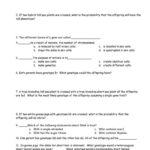 Genetics Practice Problems Simple Worksheet  Briefencounters Regarding Genetics Problems Worksheet