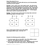 Genetics Problems Worksheet Simple Monohybrid Crosses A Simple Also Genetics Practice Problems Simple Worksheet