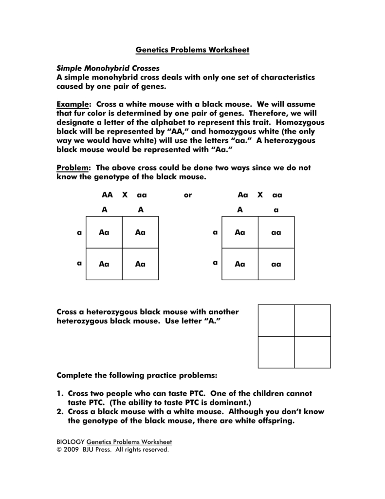Genetics Problems Worksheet Simple Monohybrid Crosses A Simple Throughout Genetic Crosses Worksheet
