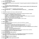 Genetics Review Answer Key Together With Genetics Worksheet Answer Key