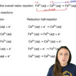 Given The Overall Redox Reaction Fe2Aq  Clutch Prep Regarding Redox Reaction Worksheet With Answers