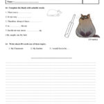 Grade 6 English Paper Worksheet  Free Esl Printable Worksheets Made Within Grade 6 Worksheets