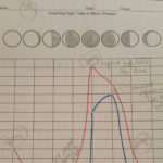 Graphing – Middle School Science Blog Together With Science Graphs And Charts Worksheets
