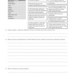 Guided Reading Activity 2 1 Economic Systems Worksheet Answers Inside Economic Systems Worksheet Answer Key