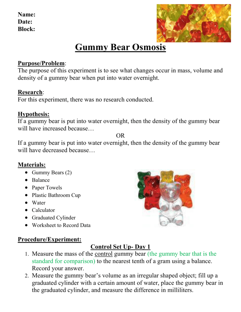Gummy Bear Lab Write Up Regarding Gummy Bear Experiment Worksheet
