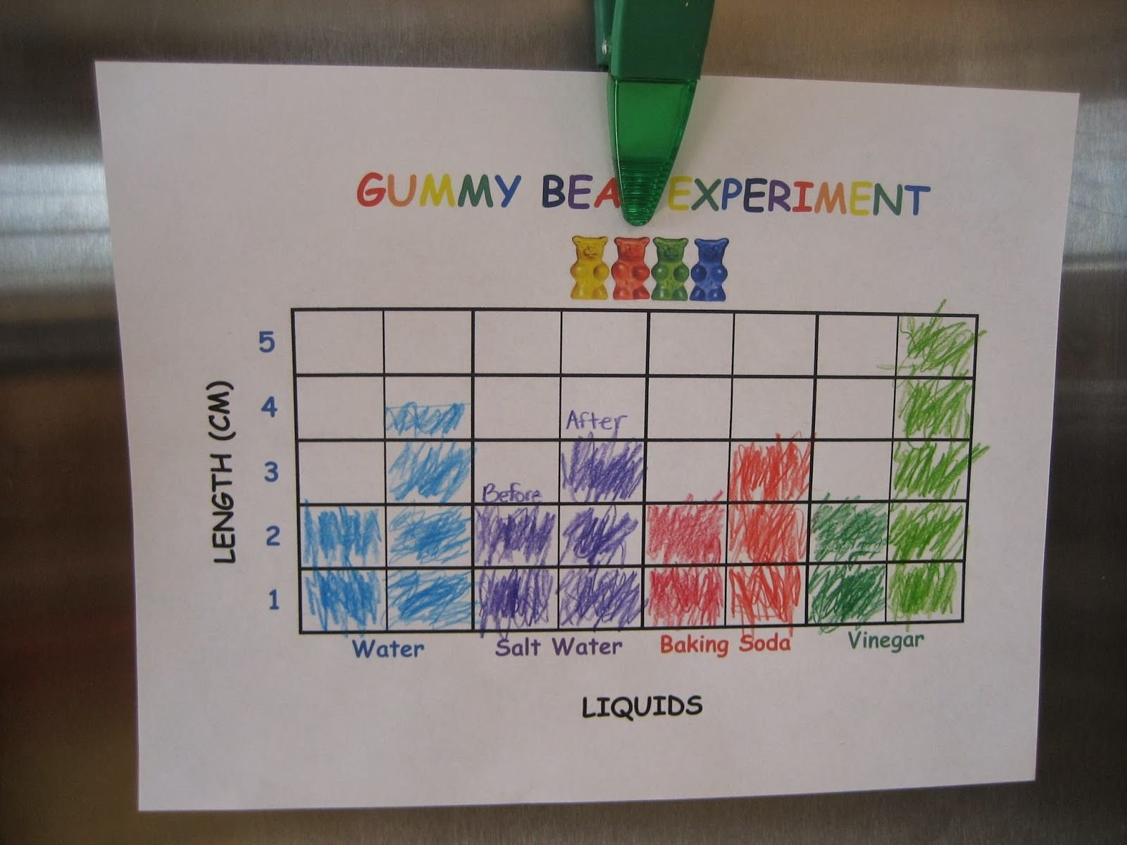 Gummy Bear Science Experiment Worksheet  Briefencounters Along With Gummy Bear Experiment Worksheet
