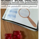 Gummy Bear Science  Exploring Osmosis With Preschoolers With Regard To Gummy Bear Science Experiment Worksheet