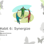 Habit 6 Synergize For Habit 6 Synergize Worksheet Answers