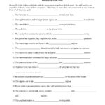Hayes School Publishing Spanish Worksheets Answers  Worksheet Idea Throughout Grammar Worksheets For High School