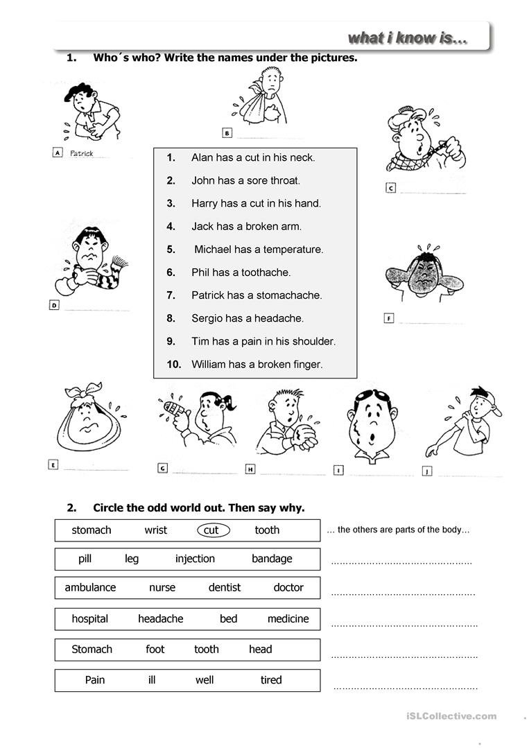Health Should Worksheet  Free Esl Printable Worksheets Made Within Free Health Worksheets For Elementary Students