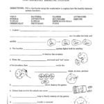 Health Worksheets Health Problems Quiz Health Worksheets For High Pertaining To Free Printable Health Worksheets For Middle School