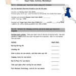 Heart Rate Activity Worksheet In Heart Rate Activity Worksheet Answers
