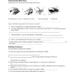 Heat Transfer Worksheet As Well As Heat Transfer Vocabulary Worksheet