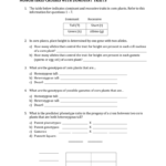 Heredity Worksheet Together With Blood Type And Inheritance Worksheet Answer Key