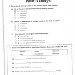 Honoring Our Veterans Worksheet Answers  Briefencounters Regarding Honoring Our Veterans Worksheet