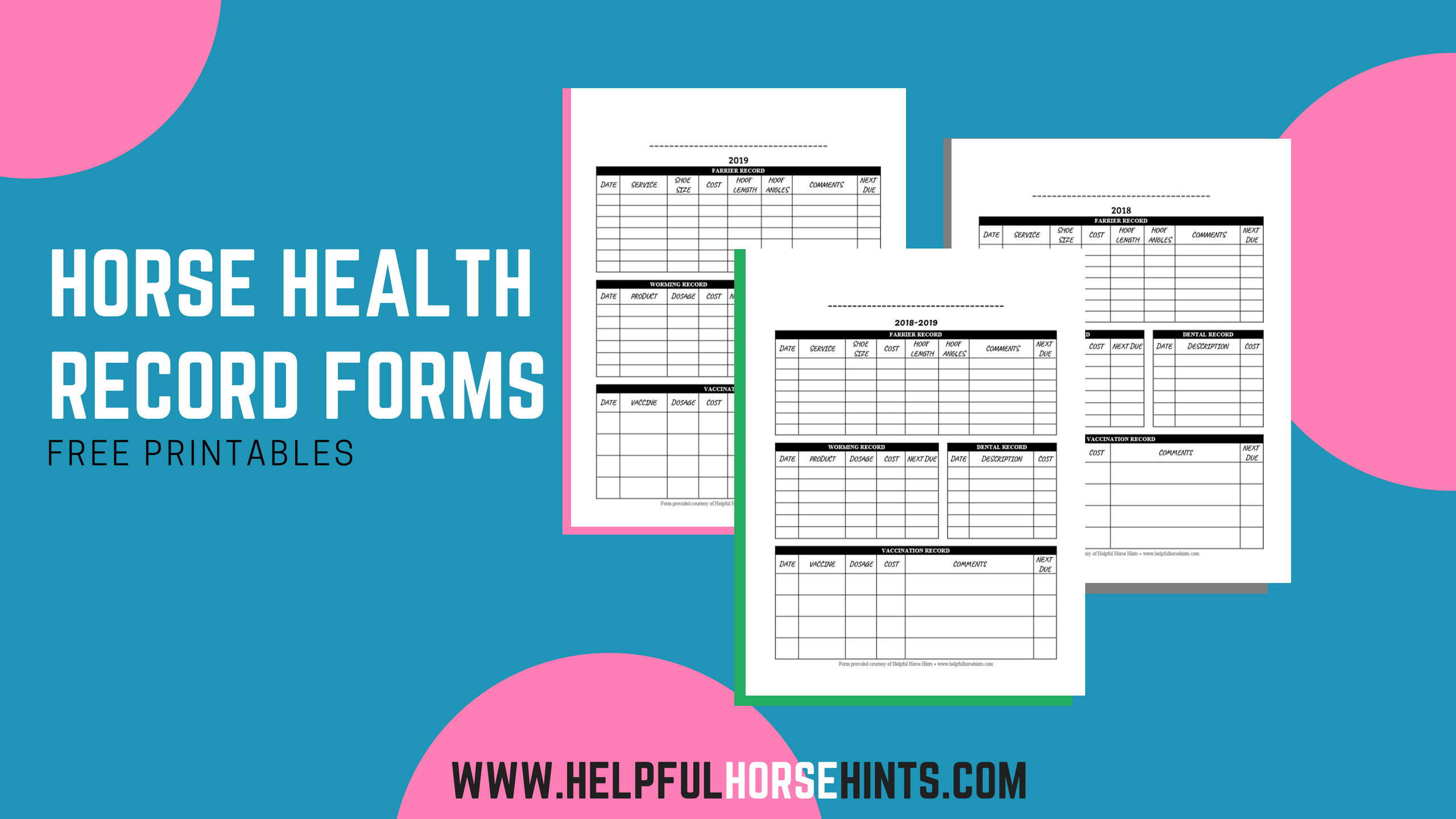Horse Health Record Form  Free Printable Pdf  Helpful Horse Hints Or Horse Stable Management Worksheets