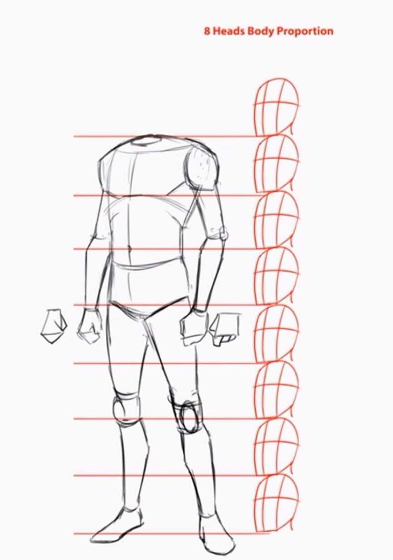 Figure Drawing Proportions Worksheet — excelguider.com