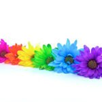 How To Make Colored Flowers Intended For Food Coloring Flower Experiment Worksheet