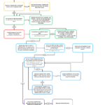 How To Prioritize Spending Your Money  A Flowchart Redesigned For Funding 401Ks And Roth Iras Worksheet