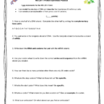 Hsls11 Protein Synthesis Practicedocx Within Protein Synthesis Practice Worksheet