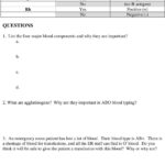 Human Blood Type Testing For Abo And Rh Factors Standards B C B C With Abo Rh Simulated Blood Typing Worksheet Answers