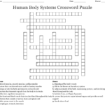 Human Body Systems Crossword Puzzle  Wordmint Also Human Body Systems Worksheet Answer Key