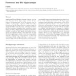 Human Endocrine Hormones Worksheet Human Endocrine Hormones Along With Human Endocrine Hormones Worksheet