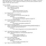 I Chapter 9 The Mole And Stoich Packetchemistryadventure  Issuu And Limiting And Excess Reactants Worksheet