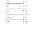 Identifying Adjectives Test 1  Reading Level 1  Preview In Identifying Adjectives Worksheet