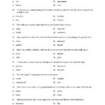Identifying Adjectives Test 1  Reading Level 3  Preview For Identifying Adjectives Worksheet