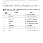 Ig Rx Percent Lab Pertaining To Scheme For Igneous Rock Identification Worksheet Answers